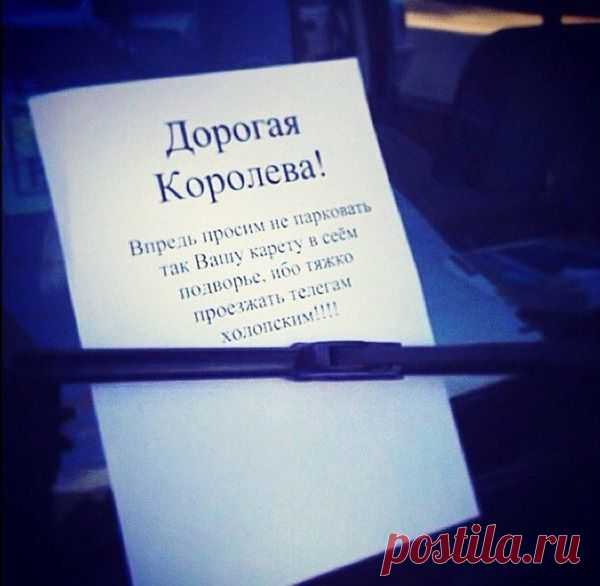 Гениальные объявления для отличного настроения