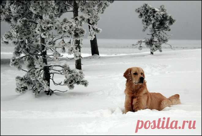всё под контролем