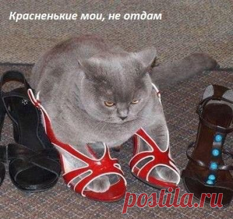 Мой Мир@Mail.Ru