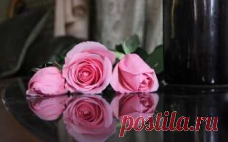 happy valentine flower reflections - 534 thousand of pictures.. Search Mail.Ru