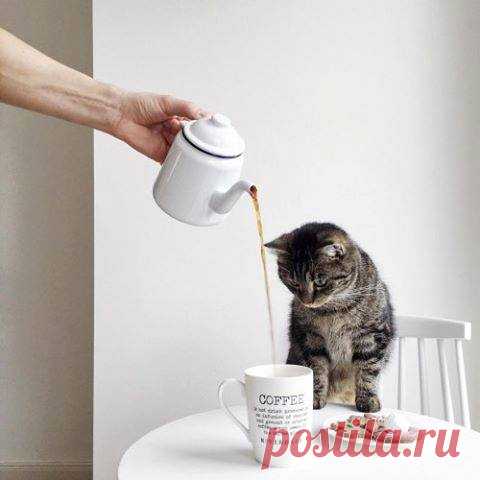 (2) Facebook