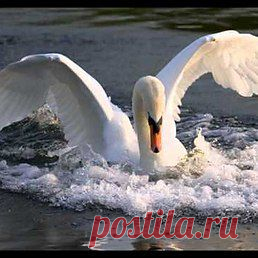 Интересные новости
