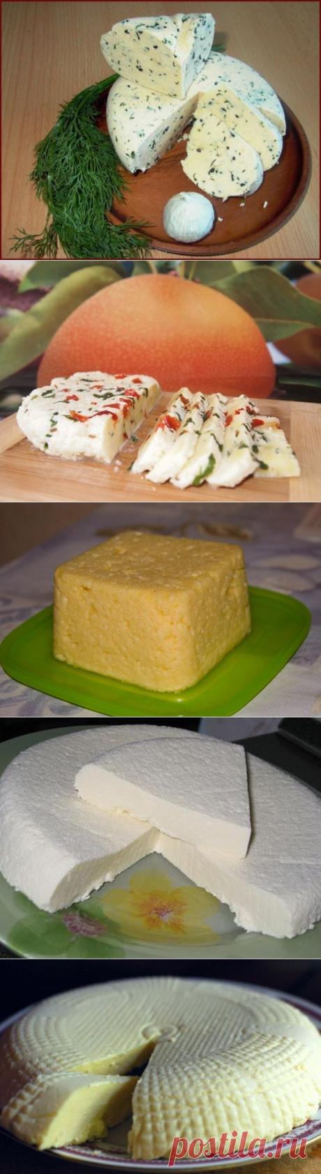 ТОР - 14 Подборка вкусных домашних сыров! | Готовим вместе