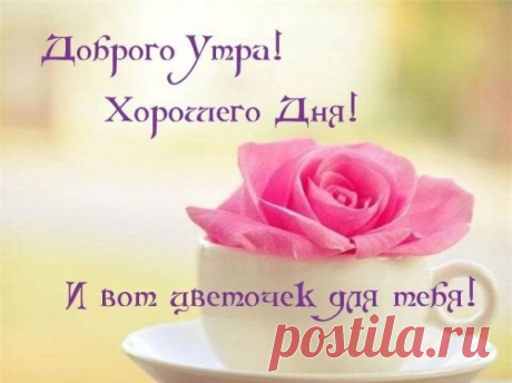 смешные позитивные картинки с добрым утром – Google Поиск