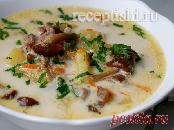 Сырный суп с опятами и куриным фаршем | Кулинарные рецепты с фото на Рецептыши.ру