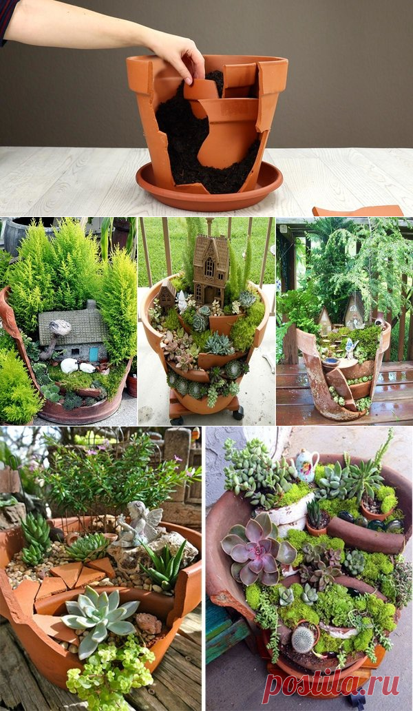Сказочная клумба на подоконнике | Garden-Zoo.ru | Яндекс Дзен