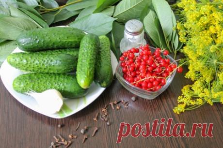 КАК ВКУСНО ЗАМАРИНОВАТЬ ОГУРЦЫ С КРАСНОЙ СМОРОДИНОЙ