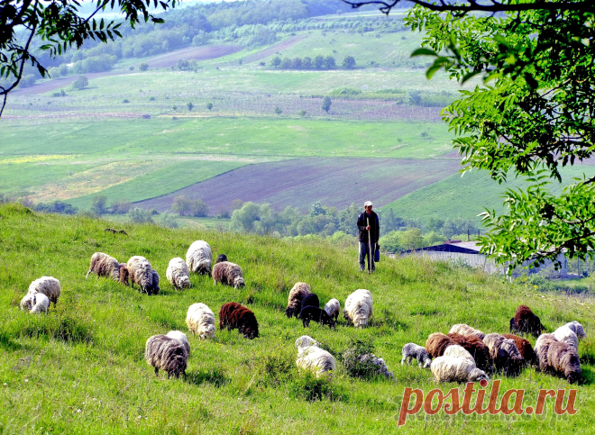 красивые картины молдавии природы - 4 тыс. картинок - Поиск Mail.Ru