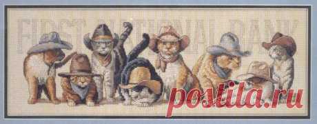 Коты - ковбои.