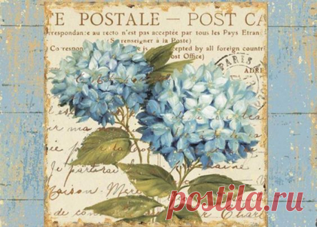 (3571) Pinterest