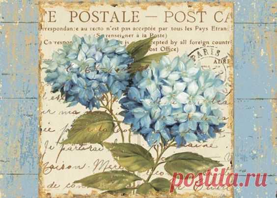 (3571) Pinterest