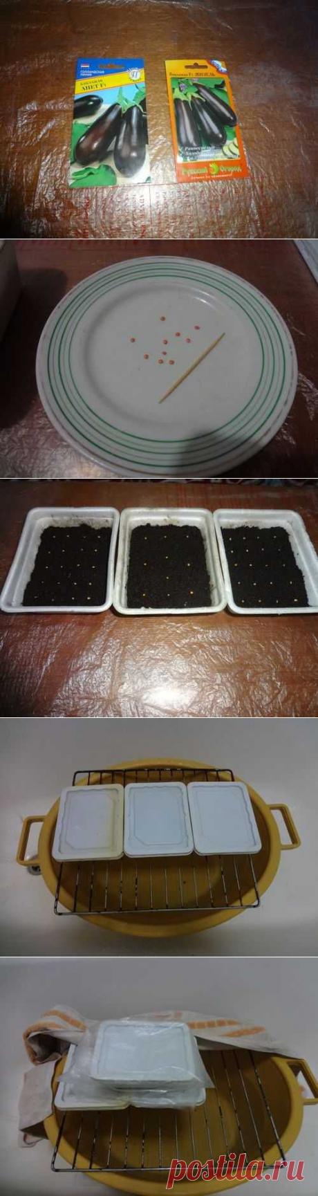 Сеем семена на рассаду. Игорь Лядов