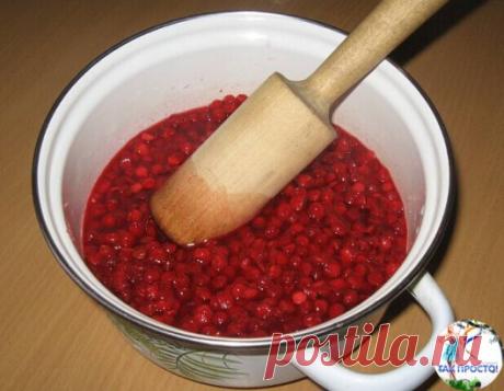 ЦЕЛЕБНЫЕ свойства КАЛИНЫ: