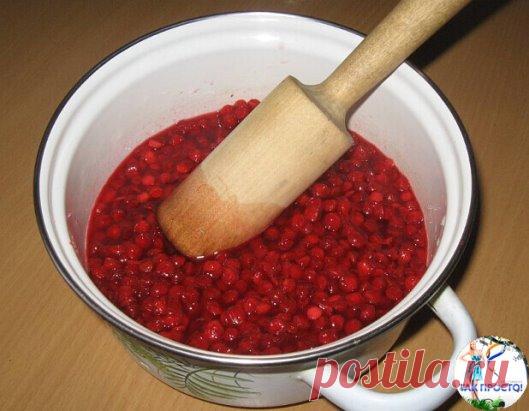 ЦЕЛЕБНЫЕ свойства КАЛИНЫ: