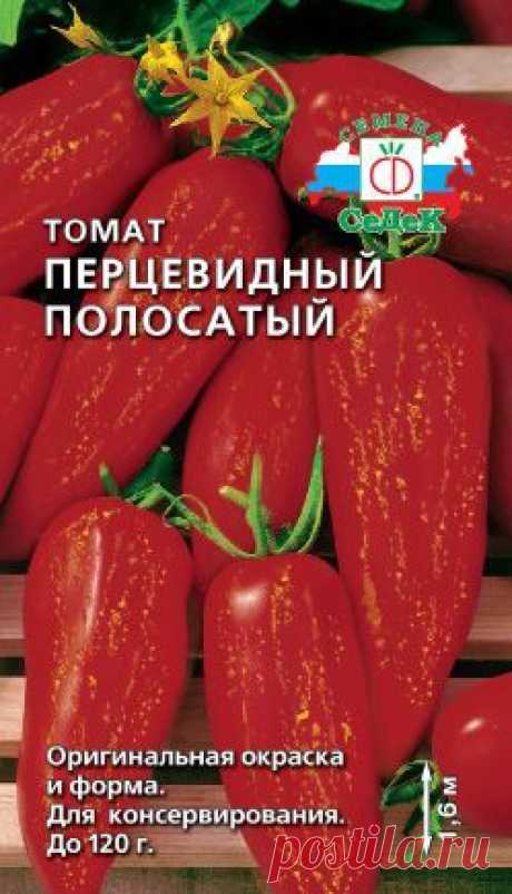 Томаты | Записи в рубрике Томаты | Дневник Сун_дучок