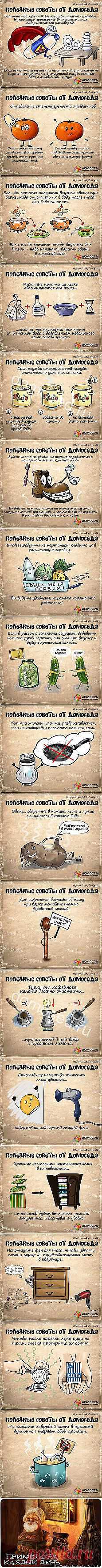 Лилия Устюжанина: Хозяйке на заметку | Постила.ru