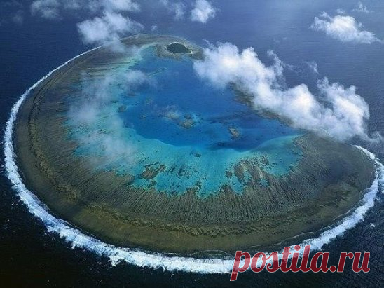 Остров Леди Масгрэйв, Большой Барьерный риф, Австралия