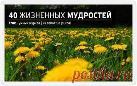40 жизненных мудростей