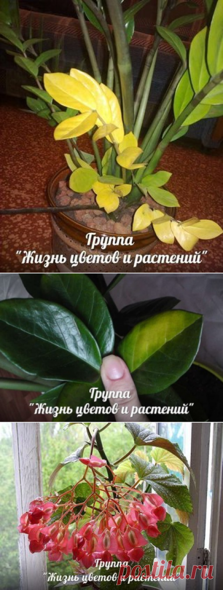 Мои закладки