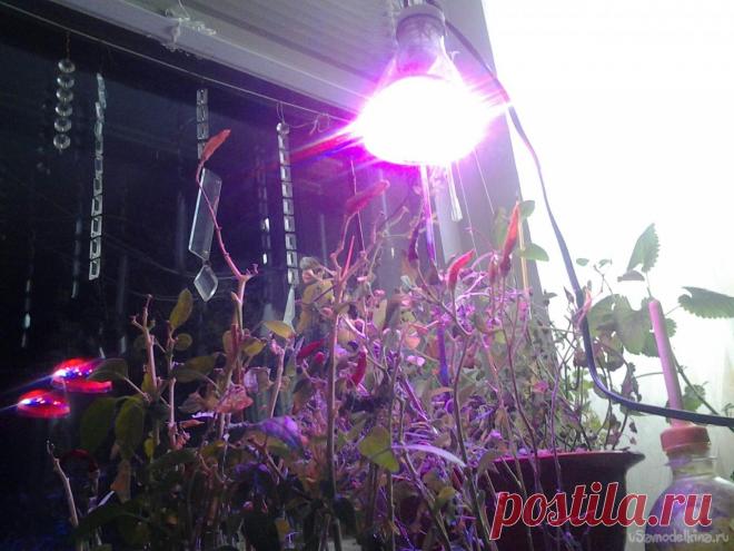 Фитолампа своими руками В свое время в журнале «Радио» была такая рубрика – «Конструкция выходного дня», где описывались конструкции, собранные быстро и из того, что буквально под ногами. Так же обстоит дело и с описываемой конструкцией. Соседка, заклятая подруга жены по линии растениеводства, принесла мне подлатать пару