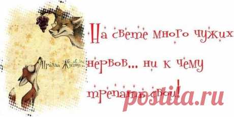 Воскресные картинки // ОПТИМИСТ