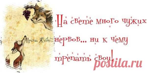 Воскресные картинки // ОПТИМИСТ