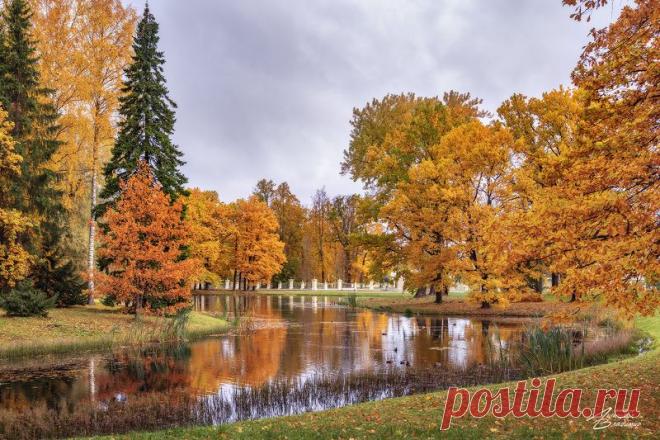 Липецких Владимир - профессиональный фотограф