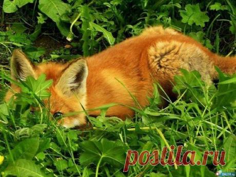 (2) Одноклассники