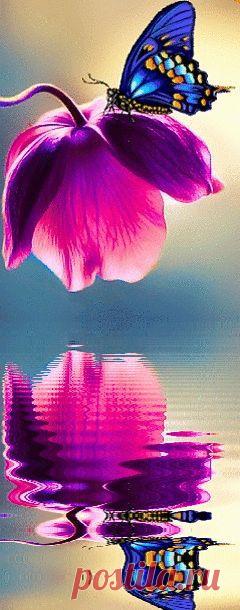 Online flowers delivery in noida offers you a number of options to send flowers in noida and gifts to these cities affordably. Apart from flowers, …