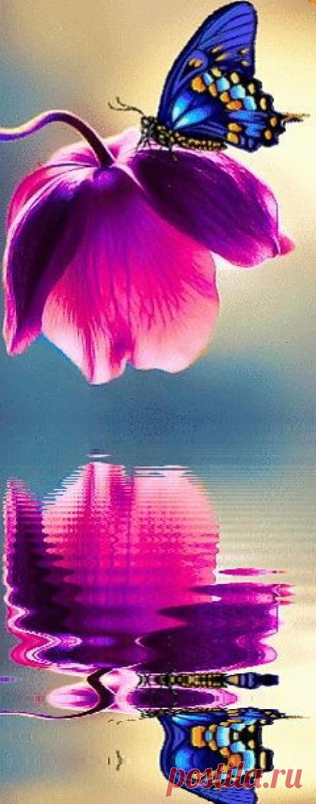 Online flowers delivery in noida offers you a number of options to send flowers in noida and gifts to these cities affordably. Apart from flowers, …