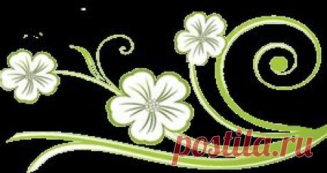 Лечебные свойства - Пеларгония - Герань Душистая