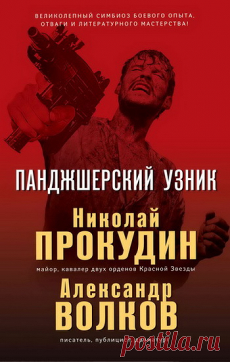 Николай Прокудин, Александр Волков | Панджшерский узник (2019) [FB2] :: beltrek.info
