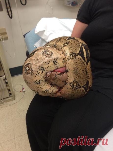 В больнице вечером