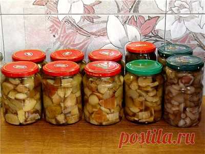 Маринованные боровики