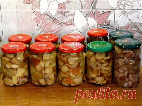Маринованные боровики