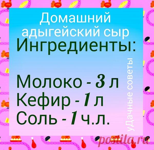 Домашний адыгейский сыр | уДачные советы | Яндекс Дзен