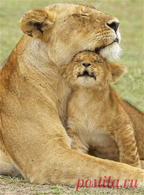 Pinterest