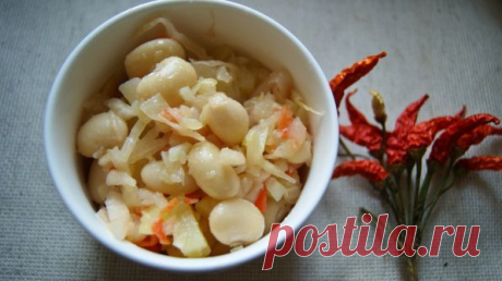 Белый винегрет
Белградский зоопарк славится своей коллекцией белых зверей. Зоосад Белого Города уже дал приют белым львам, белому бенгальскому тигру, белой ламе, белому арктическому волку, белому ежику, снежной коз…