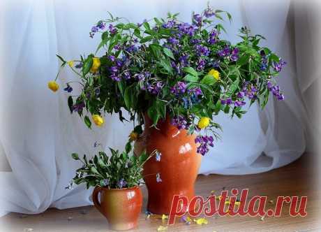 Яндекс.Фотки