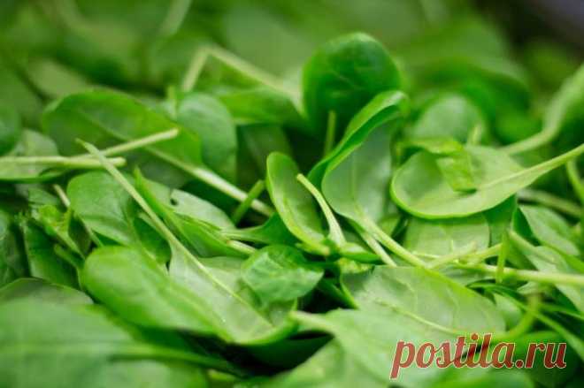 7 важных продуктов в рационе, с которыми будут всегда здоровые волосы 7 важных продуктов в рационе, с которыми будут всегда здоровые волосы
Все слышали старую поговорку: мы – то, что мы едим.
Поэтому, если вы стремитесь к более здоровым, блестящим и крепким волосам, оди...