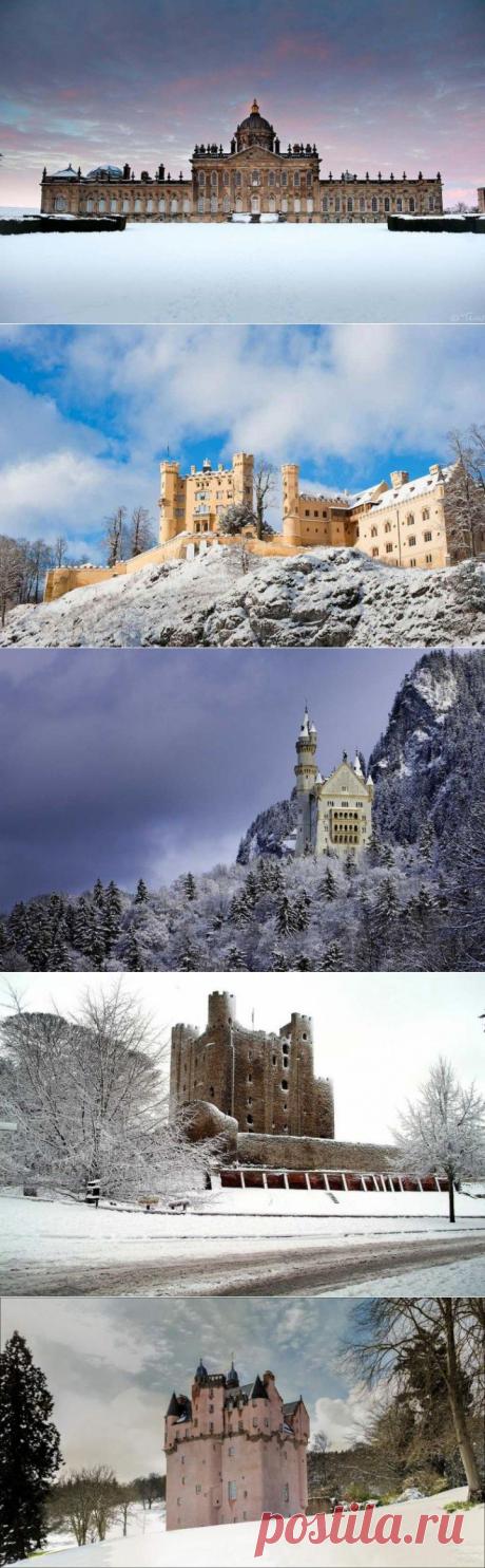 (+1) - Снежная красота зимних замков | Среда обитания
