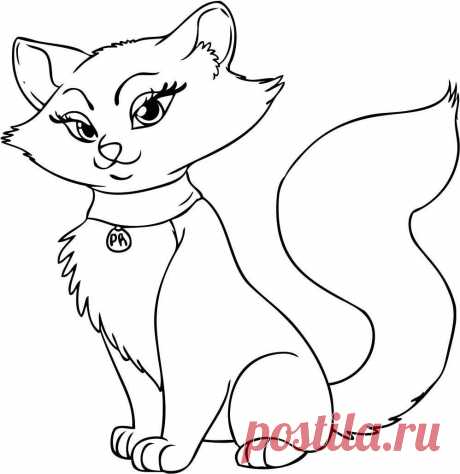1291763111740589256how-to-draw-a-cartoon-cat-step-6.jpg (998×1028)