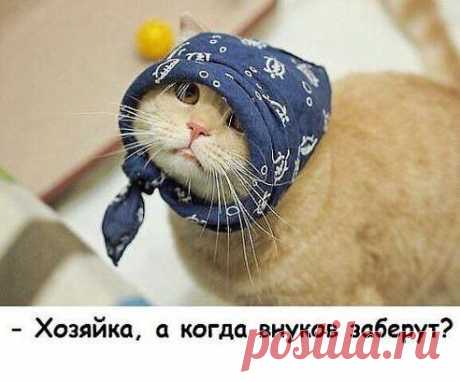 &quot;чИтАй&quot; только не &quot;пЛаЧь'' – Papin P добавил фотографию в  ВсЁ сАмОе РжАчНоЕ