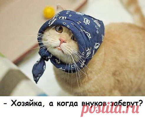 "чИтАй" только не "пЛаЧь'' – Papin P добавил фотографию в  ВсЁ сАмОе РжАчНоЕ