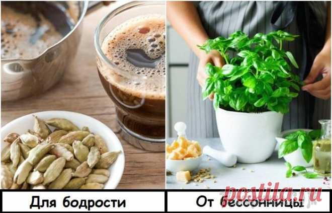 10 полезных свойств пряностей, о которых не всегда знают и провара-профи