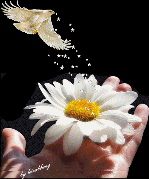 Fiori glitter