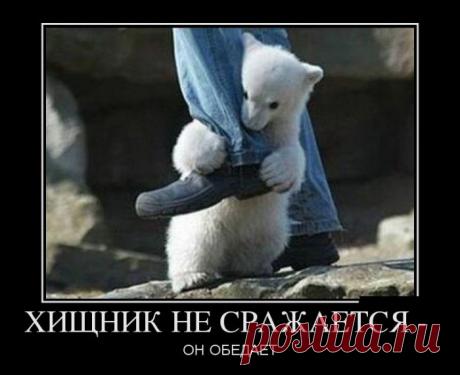 Позитивные демотиваторы на выходные (11 фото)