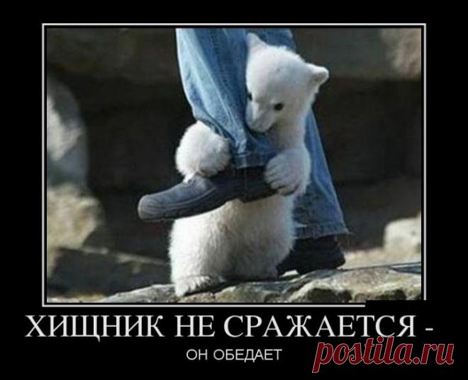 Позитивные демотиваторы на выходные (11 фото)