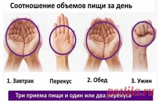 Если вы не можете похудеть, помогите себе кулаком! Это кажется невероятным, но этот трюк действительно работает! — Жизнь под Лампой!