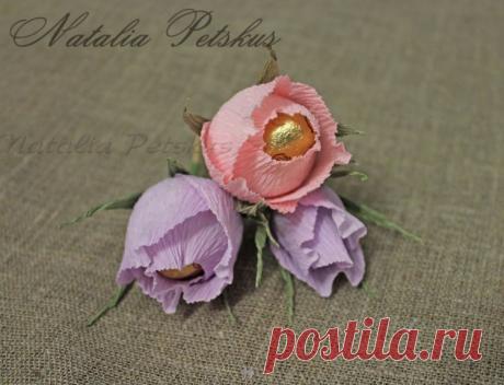 Gallery.ru / Фото #1 - раскрытый бутон - natapetskus